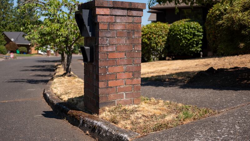 A New Company Moved a Dozen People From the Streets Into a Single Home