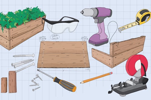 Build a Cedar Garden Box