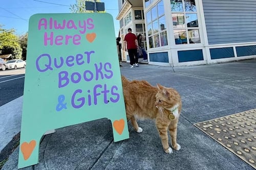 Always Here Books Starts Letter Campaign Against AI in Bookstores
