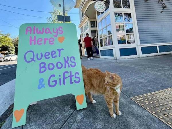 Always Here Books Starts Letter Campaign Against AI in Bookstores