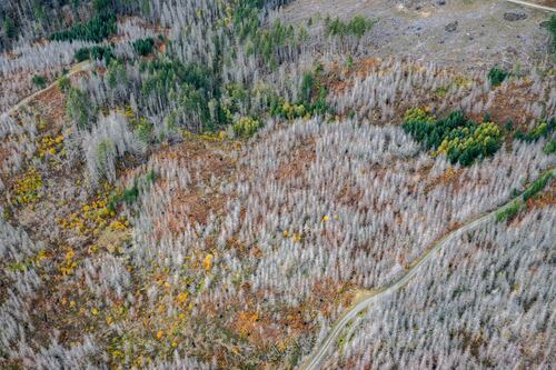 Lawmakers Ponder Oregon Kicker as Wildfire Fund Source