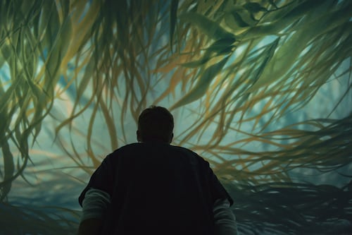 OMSI Reopens Natural Sciences Hall With Focus on Climate Change