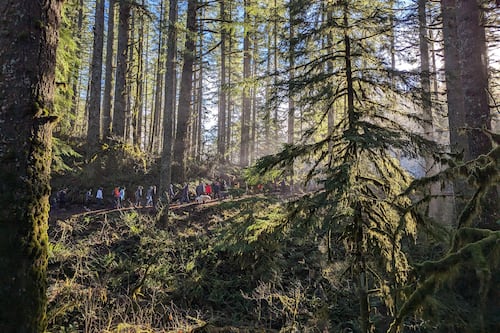Oregon State Parks and Metro Want You to Get Out on New Year’s Day