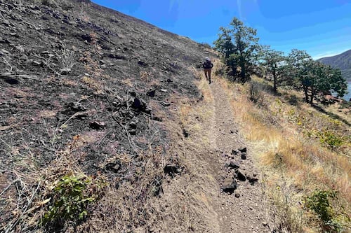 Lyle Cherry Orchard Closes Indefinitely Following June Wildfire