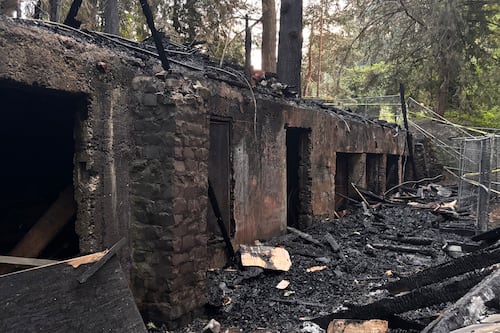 After Years in Limbo, Washington Park Bear House Burns Down