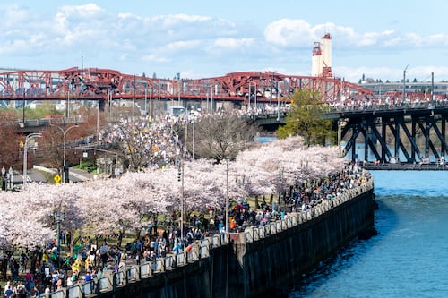 Readers Respond to Plans on the Waterfront