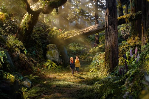 The “Wildwood” Teaser Trailer Is Out, And It’s Making Us Feel Things