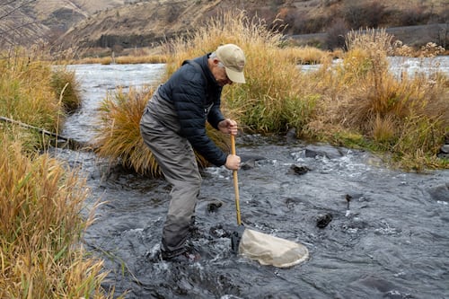 New Study Finds PGE’s Efforts to Restore Deschutes River Aren’t Working
