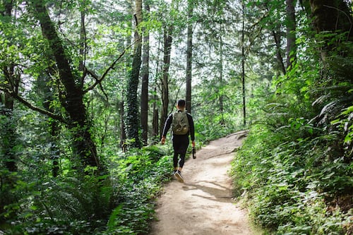 Free Shuttle Bus to Forest and Washington Parks Debuts This Summer