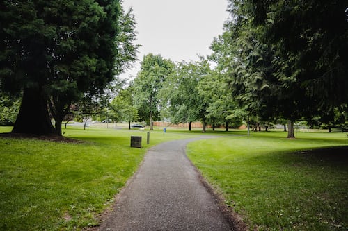 Tree-Planting Group Friends of Trees Says Its Future Is Uncertain