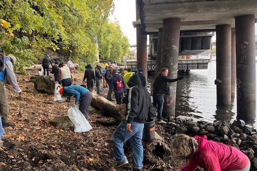 Volunteers Unearth Natural Pebble Beach Near Duckworth Dock