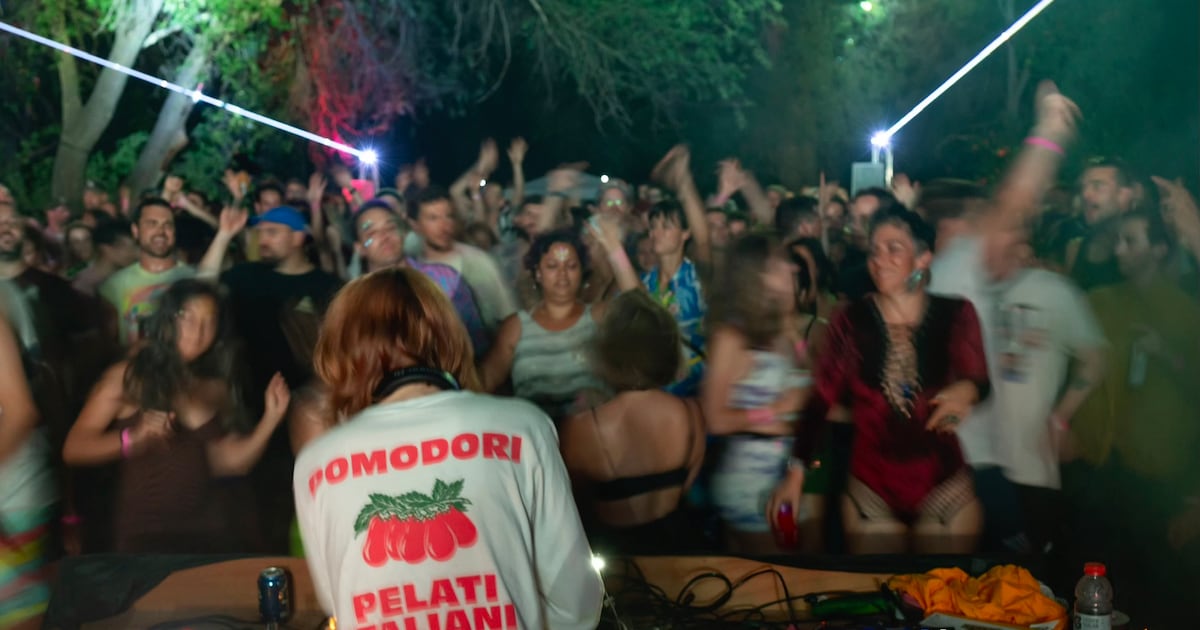 Felis Weekend Choose Your Festival This Weekend