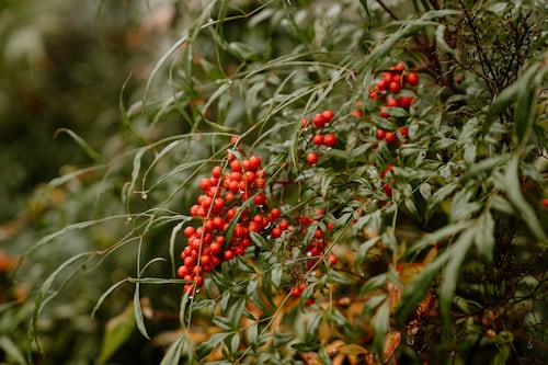 Study Again Gives Oregon a Middling Health Ranking