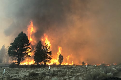 Three Takeaways From the 2025 Oregon Fire Season
