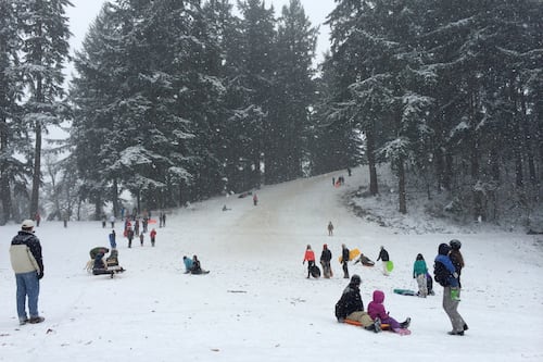 Here Is Our Ultimate* Guide to Winter Sledding  Destinations in Portland and on Mount Hood