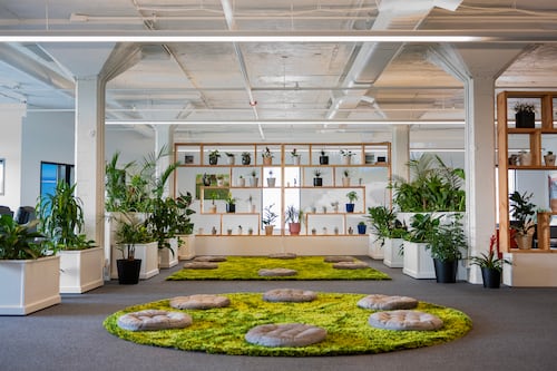 Murmurs: Sacred Mushroom’s Trip Proves Short