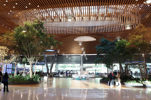 A Horticulturist Weighs In on the Struggling Trees at Portland International Airport
