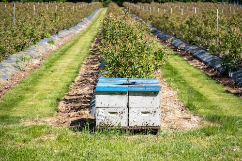 Oregon’s Economy Has Lagged for Decades. Some Blame a Shrinking Workforce and Too Much Red Tape.