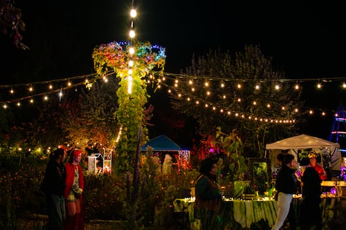 Soul’d Out Brings a New Concert Series With an Environmentally Conscious Tilt to Green Anchors