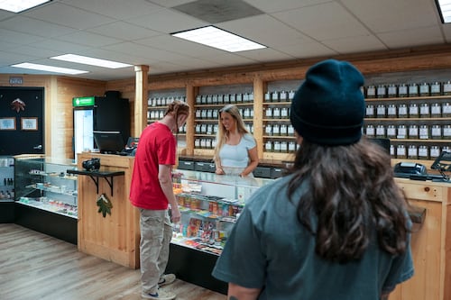 Head to Northwest Cannabis Company’s 2025 Cannafest for an Immersive 420 Experience