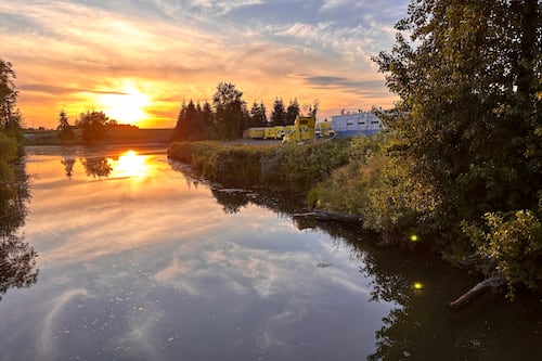 Company Faces $61,000 in Fines After City Says It Removed Trees Critical to Health of the Columbia Slough