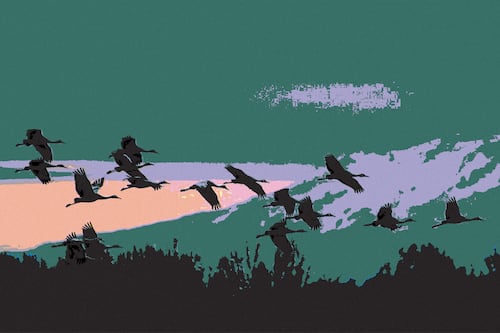 Our Guide to Weathering the Storm This Winter