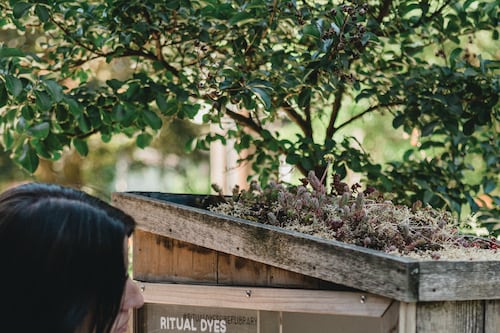 Portland’s Best Crafty Little Library