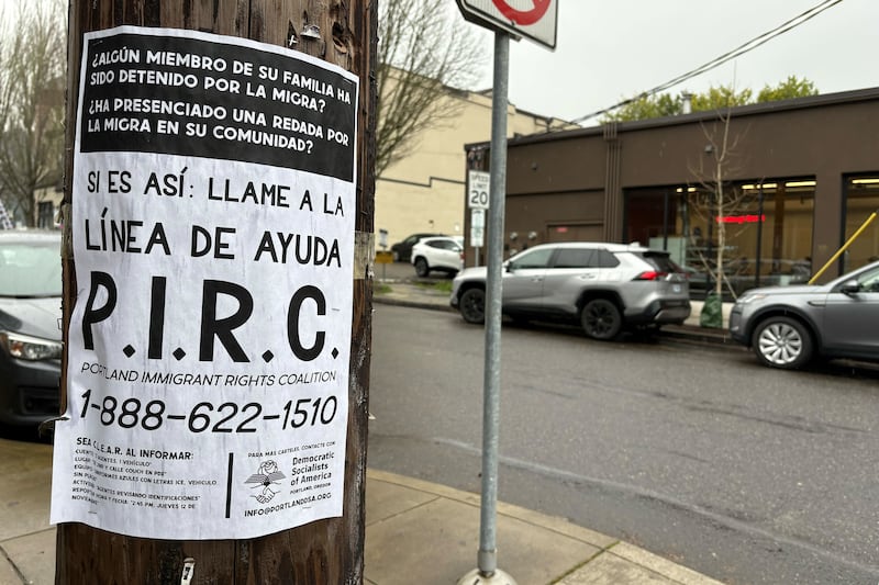 Every Telephone Pole Says Whom to Call If You See ICE