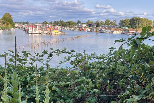 No Bygone Portland Destination Matches the Sinister Allure of Lotus Isle