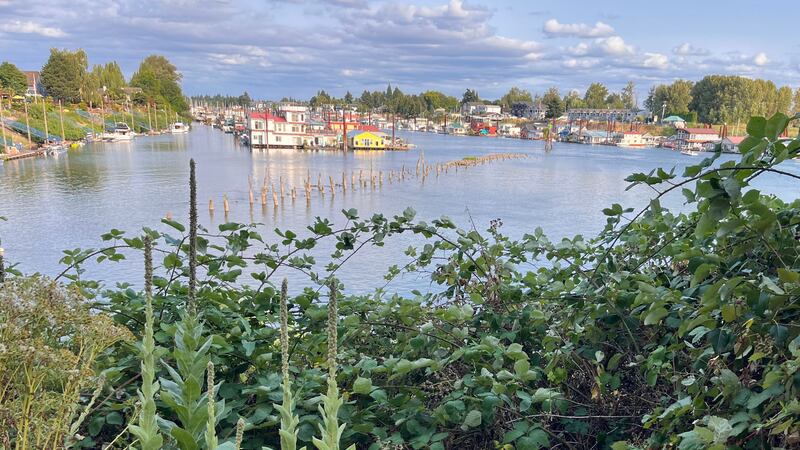 No Bygone Portland Destination Matches the Sinister Allure of Lotus Isle