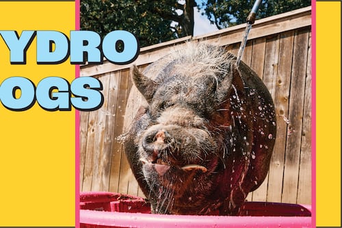 Hydro Hogs