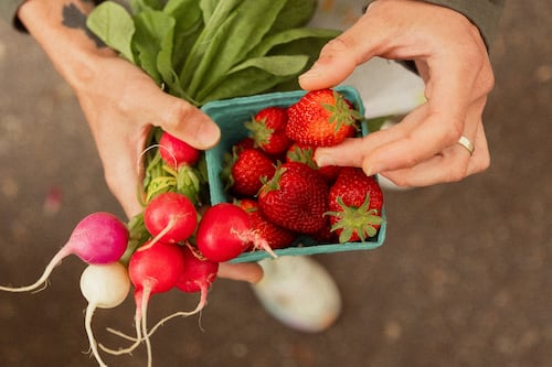A Brief Guide to What’s Popular at Portland’s Many Farmers Markets