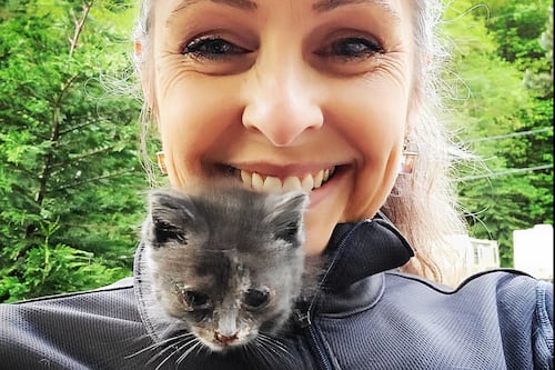 Karen Jealous’ PDX Cat Trapper Keeps the Stray Cat Population at Bay