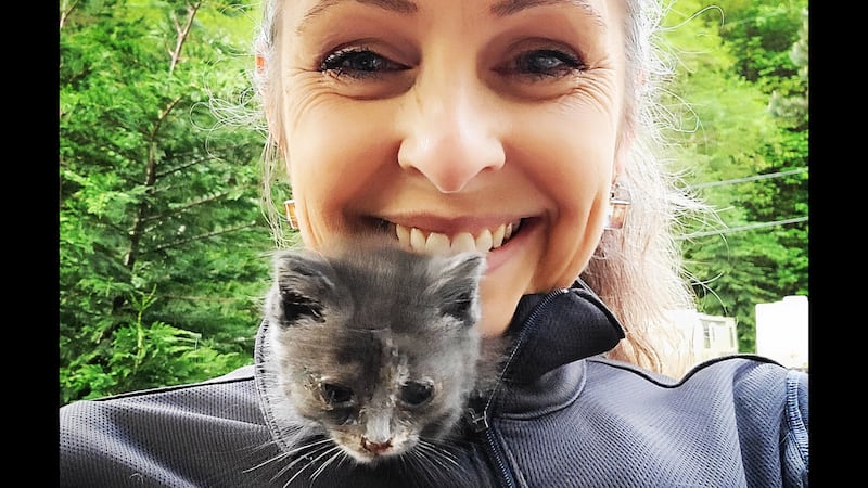 Karen Jealous’ PDX Cat Trapper Keeps the Stray Cat Population at Bay