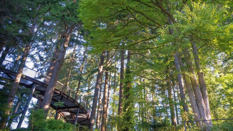 Moment Is Devoted to Presenting Exciting Live Performances in Focused Spaces