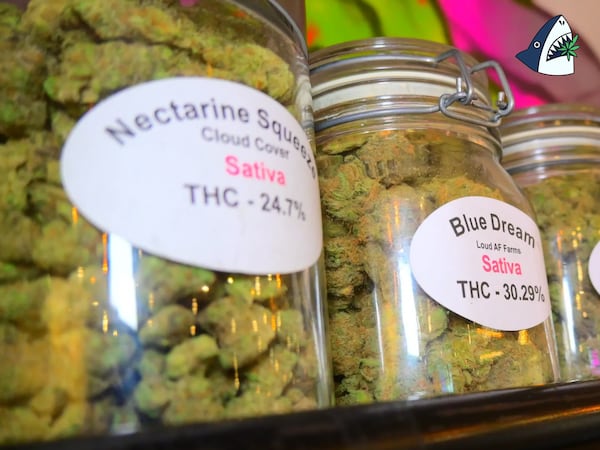 Top Shelf Cannabis Flower for $1