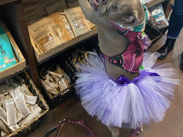 Ruth Bulldogge Ginsburg