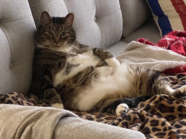 King Charles