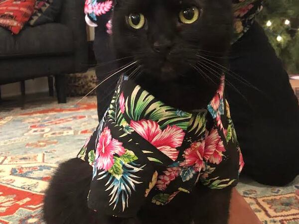 Monty